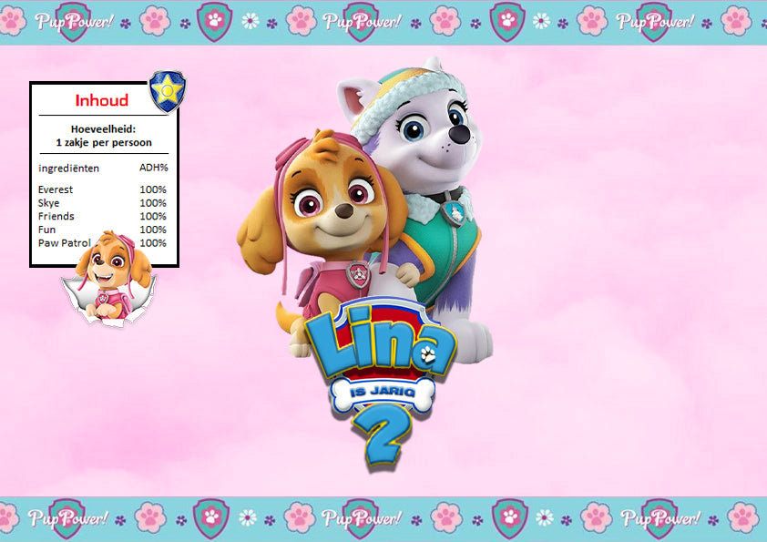 Chipswikkel Paw Patrol - Skye/Everest